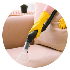 upholstery cleaners