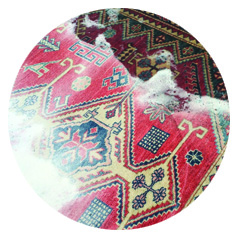 persian rug cleaning