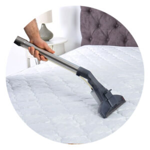 upholstery cleaning pretoria