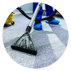 carpet cleaning