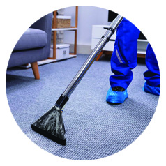 carpet cleaners Pretoria North East