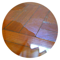 flood damage cleaning pretoria